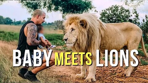 Baby Meets Lion | PSN Experiment