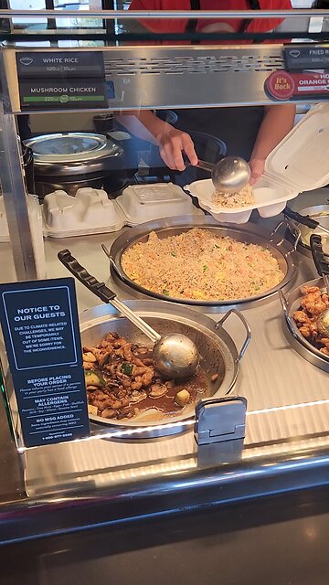 Panda Express Food Offering