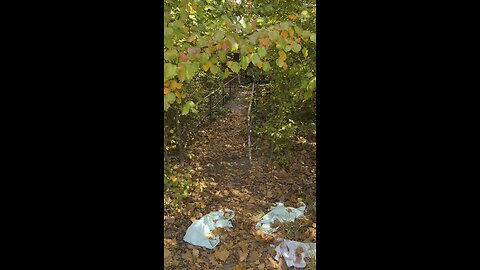 We Found an Abandoned Building Deep in the Woods… But Someone Might Still Be Here