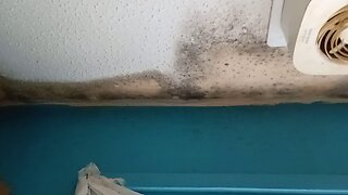 social housing, we will be surveying the property