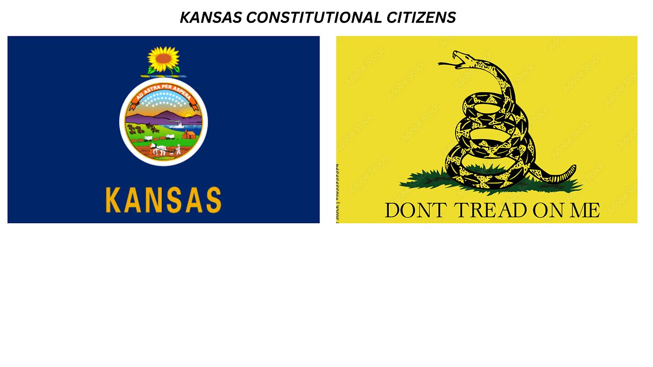 THE KANSAS CONSTITUTIONAL CITIZENS: WHAT IS A CONSTITUTIONAL GRAND JURY AND MILITIA? LIVE TUESDAY @ 8PM CST