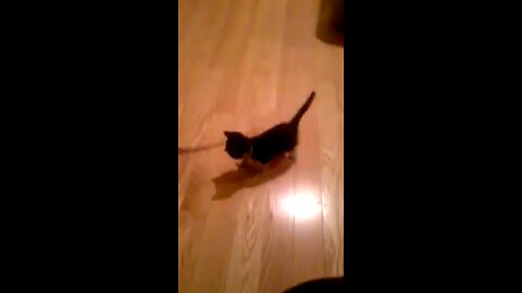 Isabelle is learning how to play! 🙂