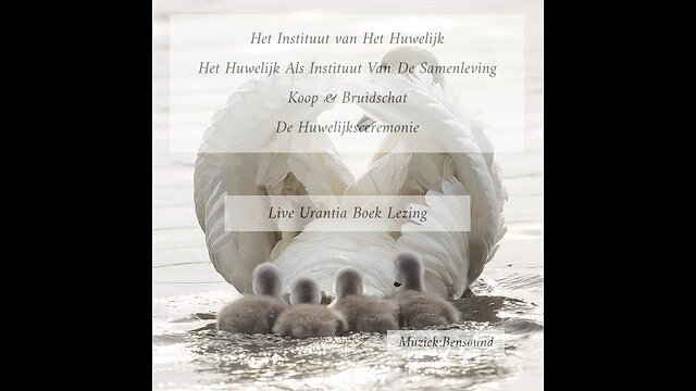 Het Instituut Van Het Huwelijk