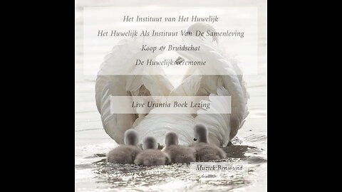 Het Instituut Van Het Huwelijk