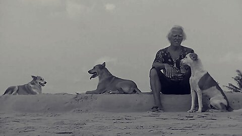 Walking with the Beach Dogs of Goa, India