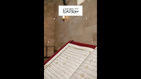 Follow if you love Allah / Surah Al Baqarah Ayat 95 #quran #islam #islamicreminders #viralvideos