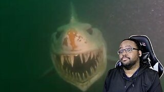 If You're Afraid Of The Sea Don't Watch This Video Reaction