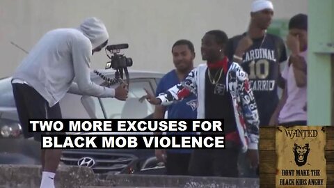 Colin Flaherty: Two New Excuses For Black Mob Violence
