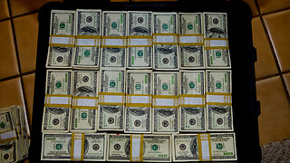 SOMALI WELFARE FRAUD - IT GETS WORSE - SUITCASES OF CASH - Former TSA agent DESCRIBES what she SAW