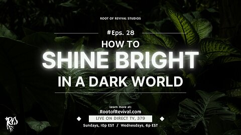 How to Shine Bright in a Dark World – The Root of Revival