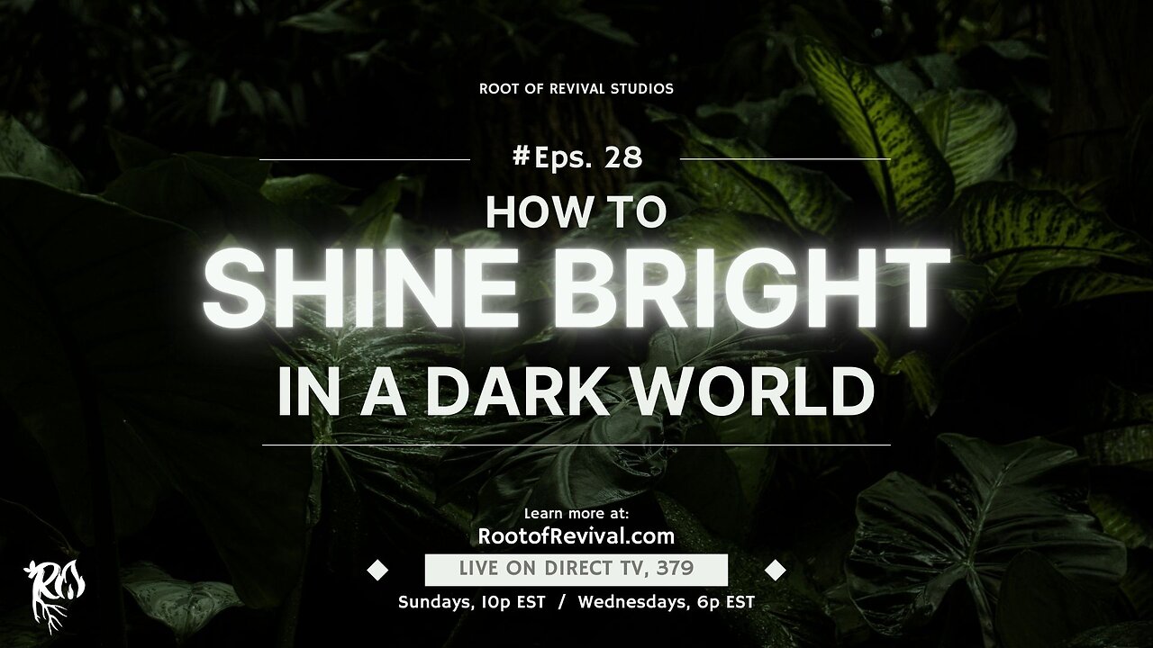 How to Shine Bright in a Dark World – The Root of Revival