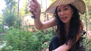 Spiders and Snakes Fall Garden VLOG