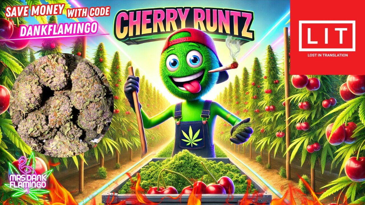 Enjoying Cherry Runtz Essential from Lit Farms! Mrs Dank Flamingo Review!!