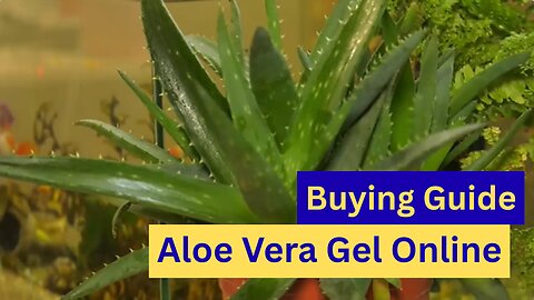A Smart Guide to Buying Aloe Vera Gel Online