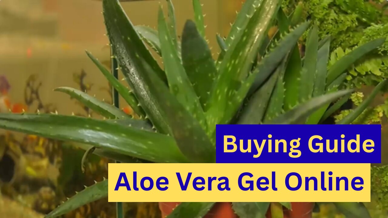 A Smart Guide to Buying Aloe Vera Gel Online