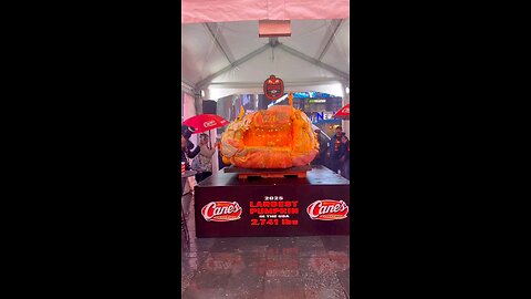 big pumpkin in usa NYC weight 2714 lbs
