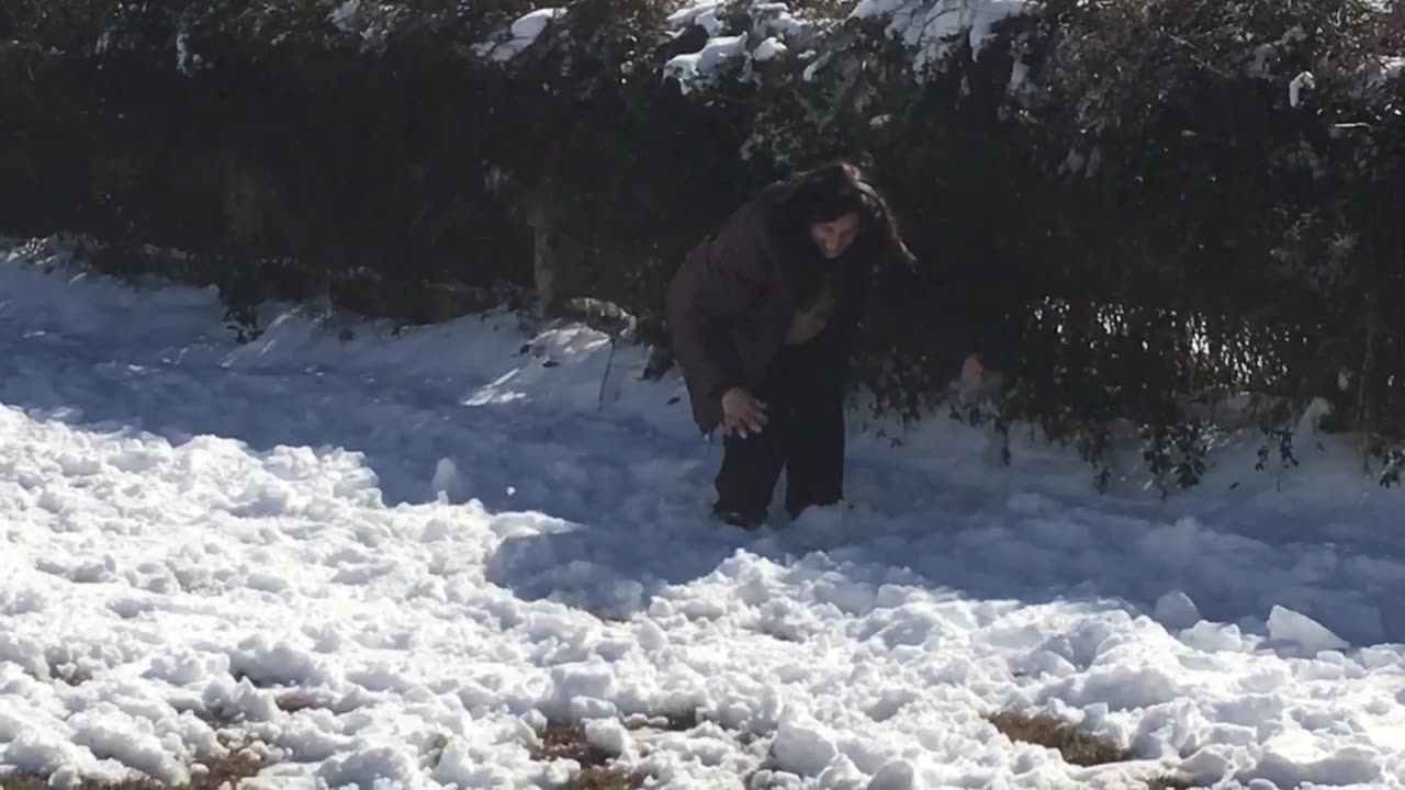 CatDog enjoys snow play