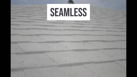 Shingle Roof Painting