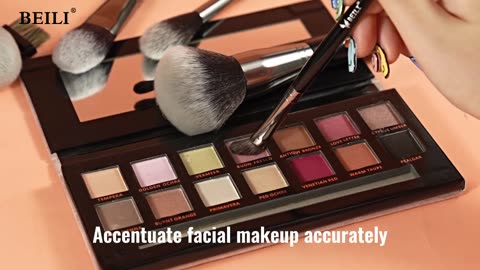 Professional Premium Makeup Brushes Set Foundation Loose Powder Eye Blending