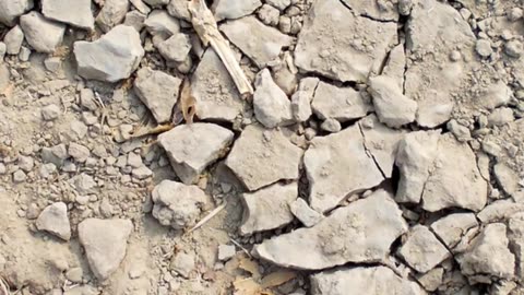 #NigeriaWatch #ReligiousFreedom #USForeignPolicy #AidCutThreat #GlobalStability