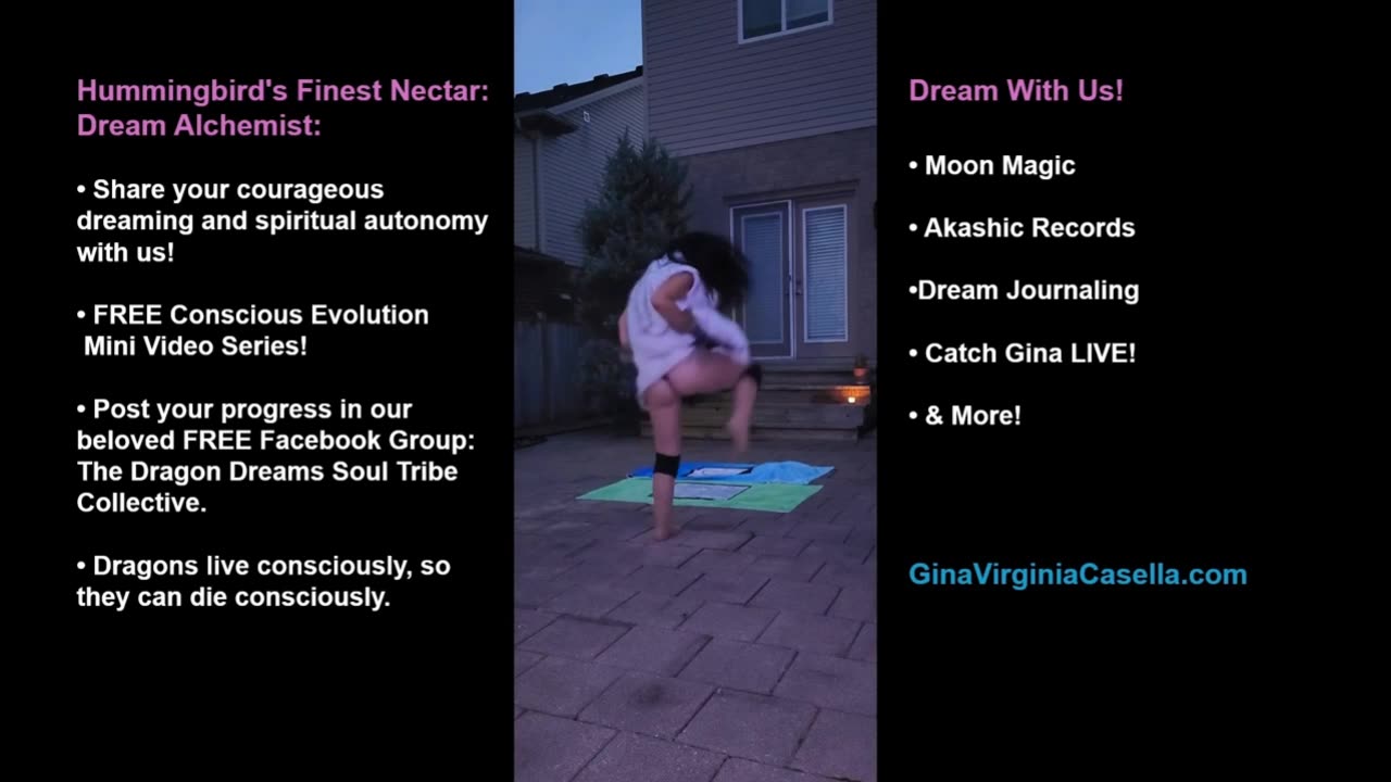 Dream Alchemist: Dream Journal Share Out