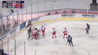 US Sports Hockey Feat. Red Wings vs. Blue Jackets | 2025 Stadium Series Highlights | March 1, 2025