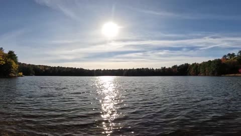 Great View