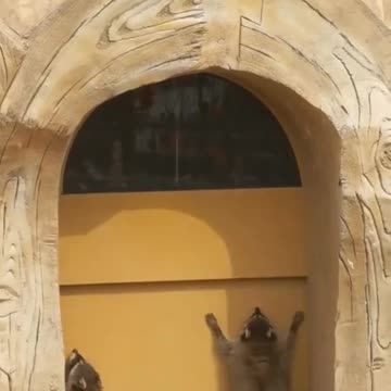 Funniest Video Compilation | Try Not to Laugh! 😂