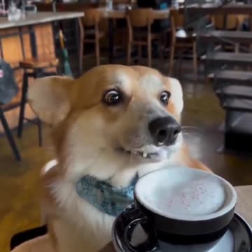 Before the new year new diet plans kick in 😂