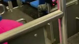 That is Me Sitting in A window Seat of the Q58 MTA Orion VII Next Generation Citybus