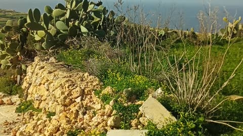 Spaziergang am Rande von Zebbug Gozo