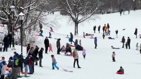 Dëborë në News York