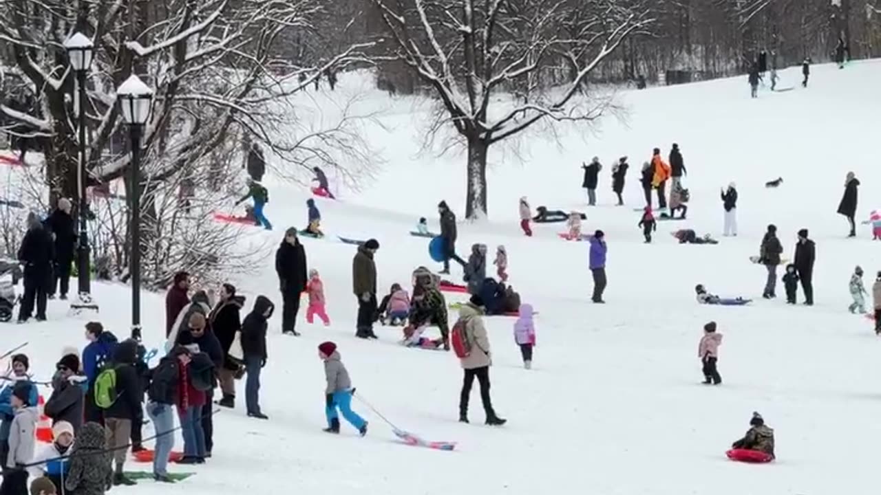 Dëborë në News York