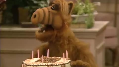 ALF – S1E7 “Help Me, Rhonda” (1986) | Melmac Flashback Episode