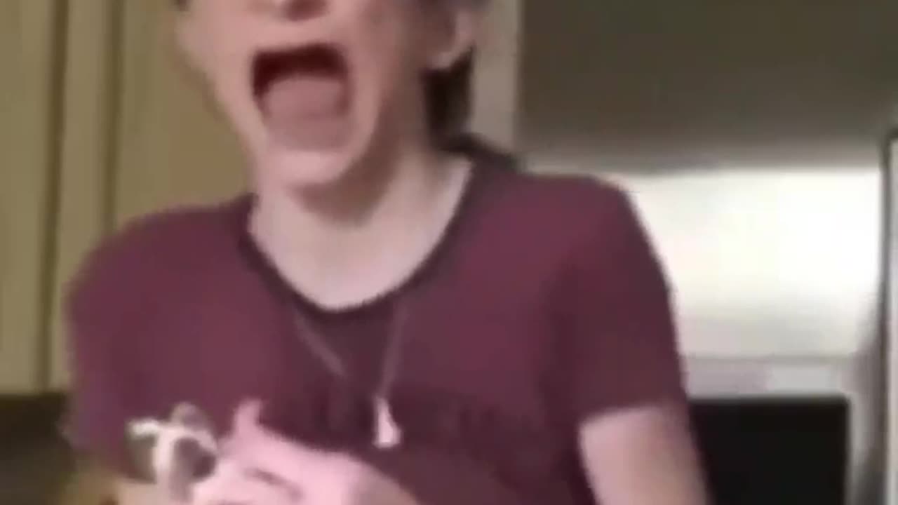 😂🐱 Ow! Cat's Reaction is Priceless! | FunFM