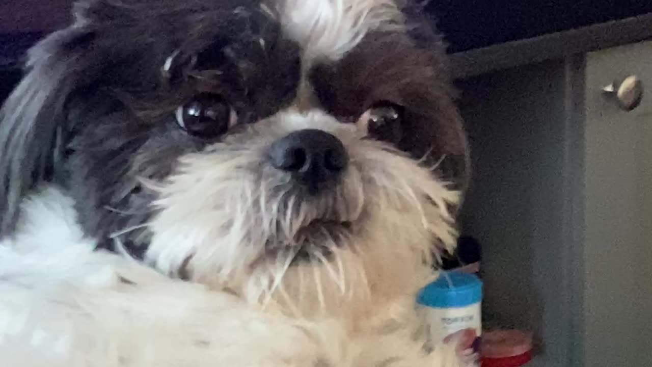 Oh that face! Lol