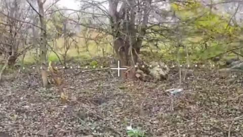 Ukraine war combat footage 10/30/25