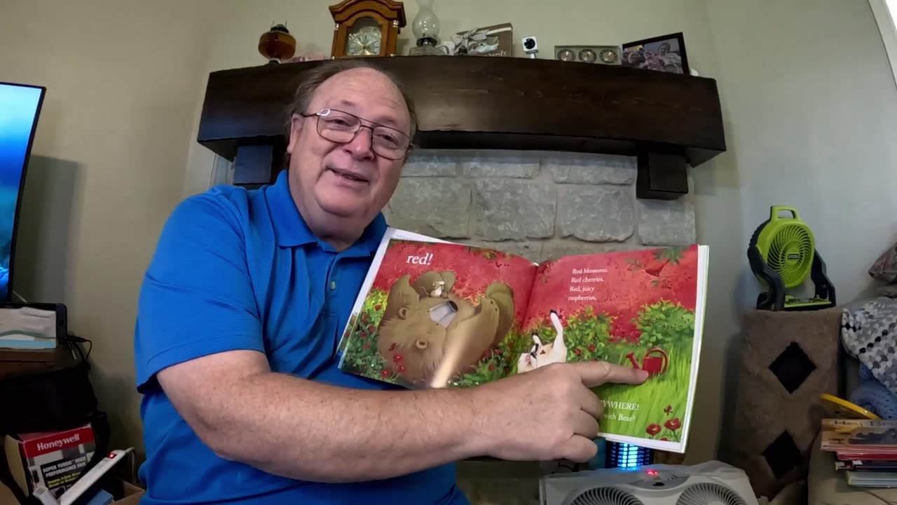 Brown Bear Sees Colors