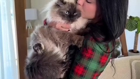 🍑 Santa's Favourite 🔥💯