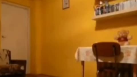 😱👻 You Won't Believe What They Caught on Camera! Skinwalker | TheHauntingHour