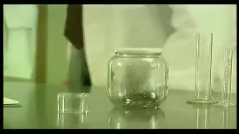 Fleas in a jar (similarity in fleas and human behaviour)