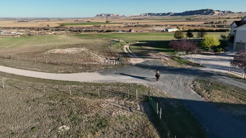 Horse ride unscripted