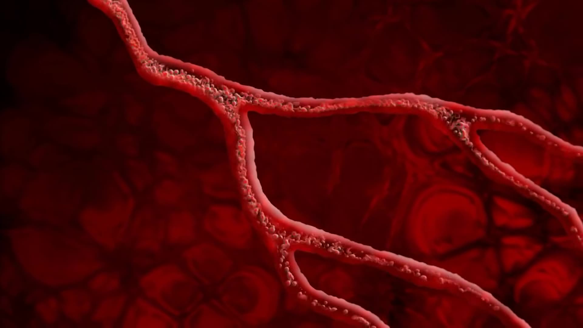 If You Notice These Symptoms, Your Kidneys May Be DYING! || Barbara O'Neill