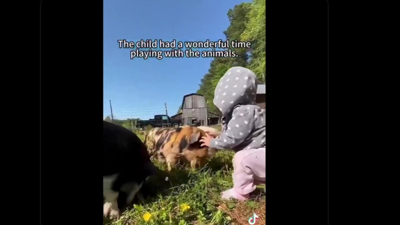 Timeline Cleanse • by DP • 11-21-2025