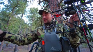 Hunting Bears in Wyoming