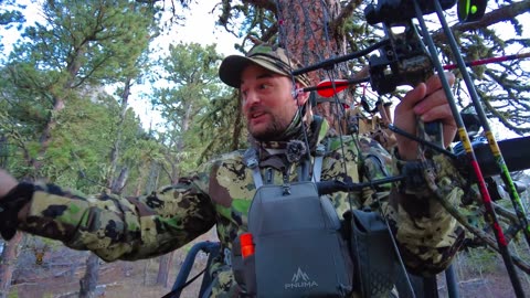 Hunting Bears in Wyoming