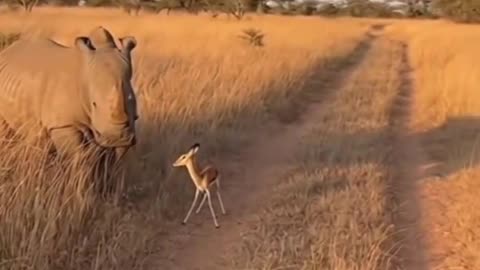 This is the ultimate 'mess with my tiny friend