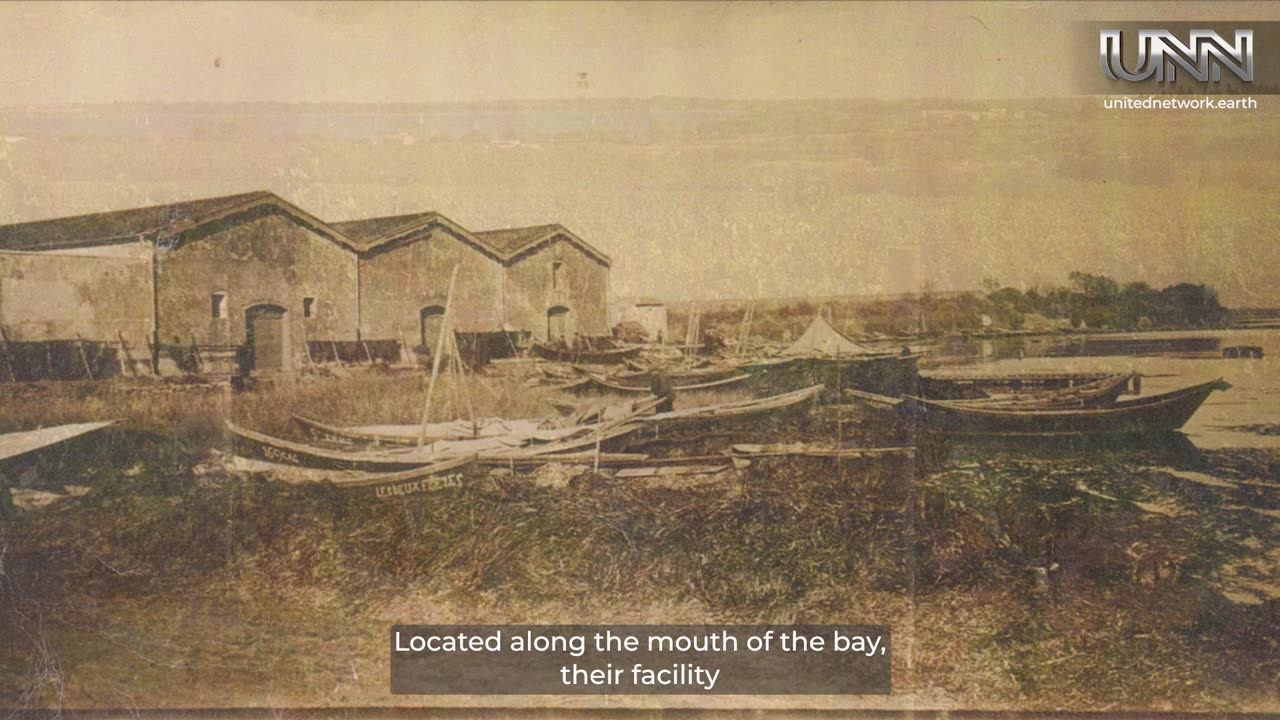 ✨ Explore the art of winemaking in Southern France.