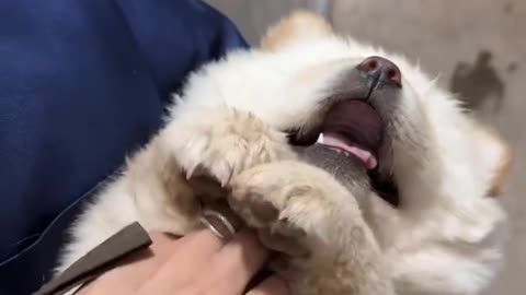 Adorable Brothers with Unique Charms