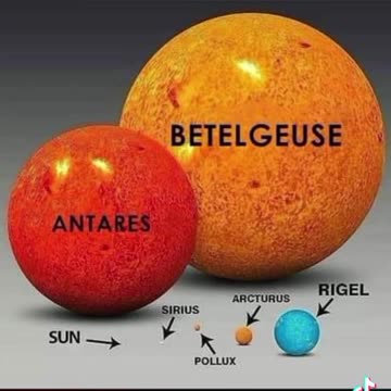 THE FALLOPIAN TUBES PORTALS